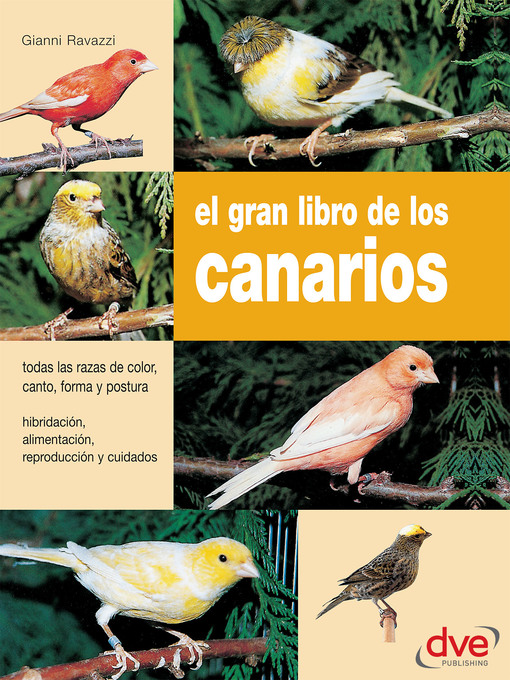 Title details for El gran libro de los canarios by Gianni Ravazzi - Wait list